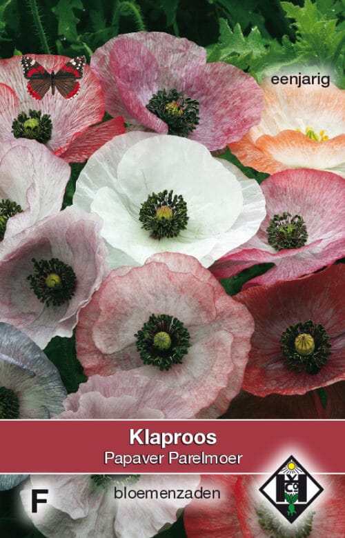 Papaver rhoeas Parelmoer