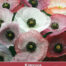 Papaver rhoeas Parelmoer