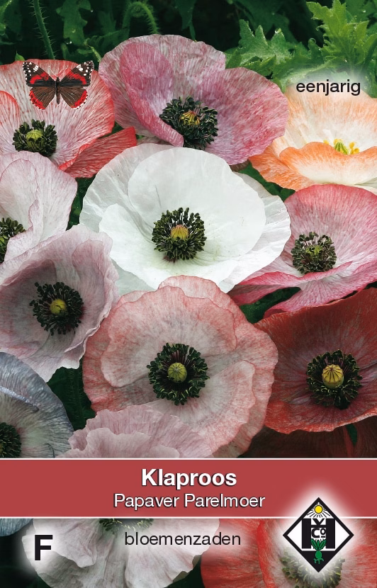 Papaver rhoeas Parelmoer
