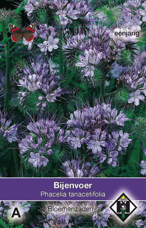 Phacelia tanacetifolia Bijenvoer