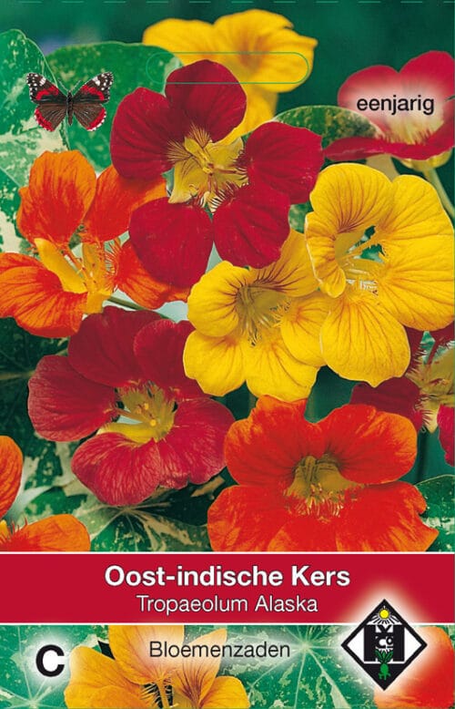 Tropaeolum Alaska Oost-Indische kers