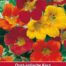 Tropaeolum Alaska Oost-Indische kers