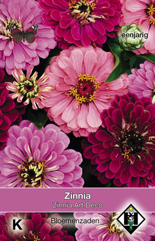 Zinnia elegans Art Deco