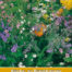 Vlinder- en bijenbloemen