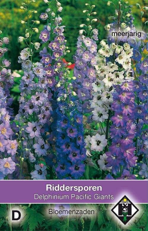 Delphinium Pacific Giant Ridderspoor