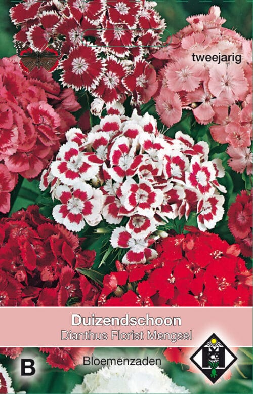 Dianthus Florist Mengsel Duizendschoon