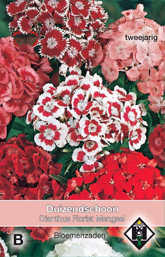 Dianthus Florist Mengsel Duizendschoon