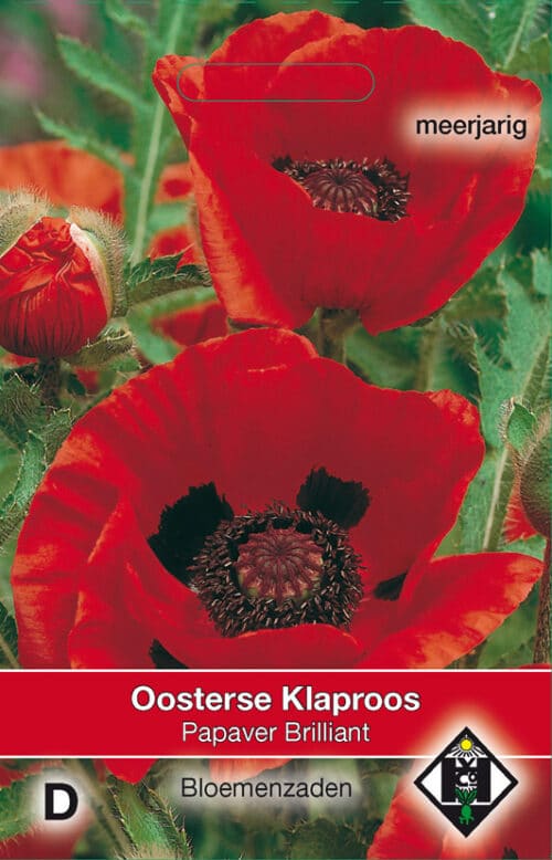 Papaver Brilliant Oosterse klaproos