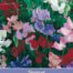 Lathyrus Spencer Mix