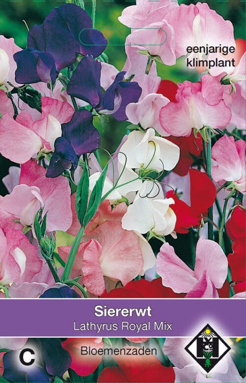 Lathyrus Royal Mix Siererwt