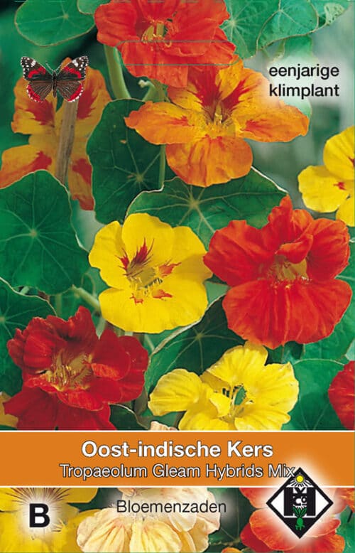 Tropaeolum Gleam Hybrids Mix Oost-Indische Kers