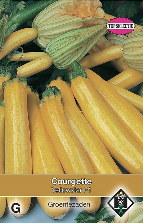 Courgette Yellowstar F1 zaaizaad