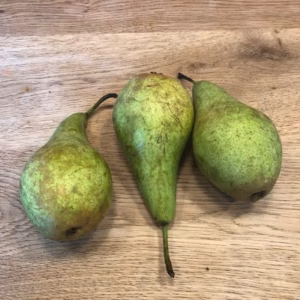 Pyrus of Perenbomen zijn er als handpeer of als heerlijke stoofpeer.