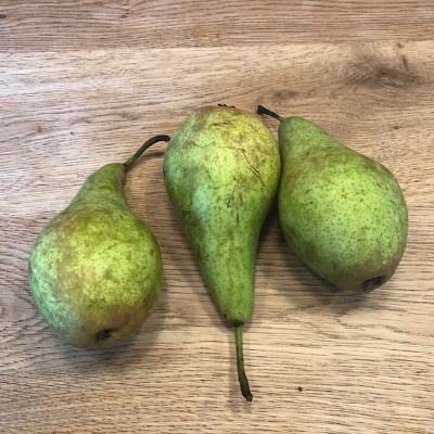 Pyrus of Perenbomen zijn er als handpeer of als heerlijke stoofpeer.