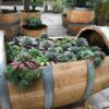 Liggend vat 50 liter beplant