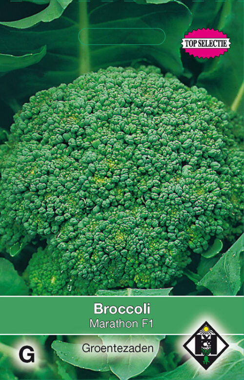 Broccoli zaaizaad