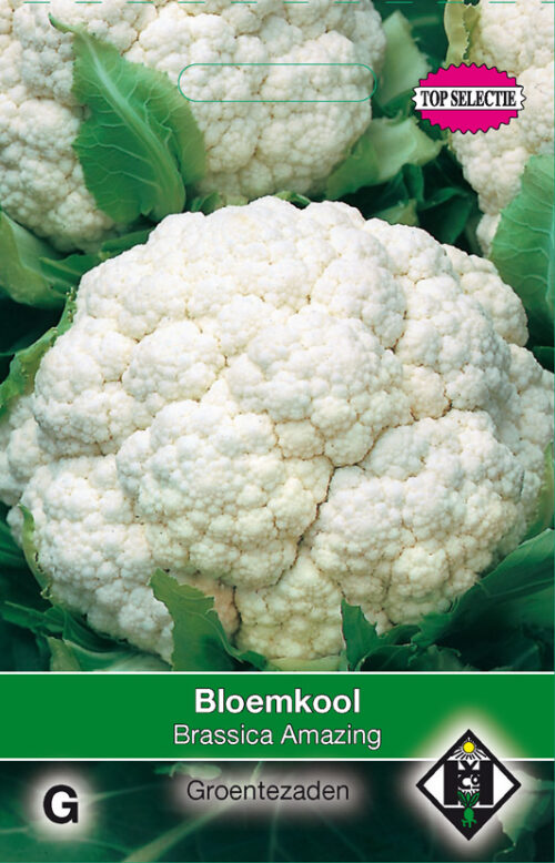 Bloemkool 'Amazing' zaaizaad