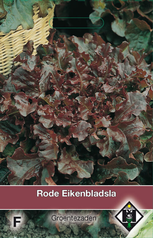 Rode Eikenbladsla zaaizaad