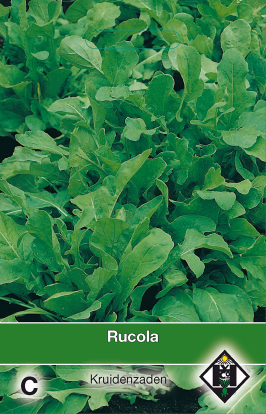 Rucola Eruca Sativa zaaizaad