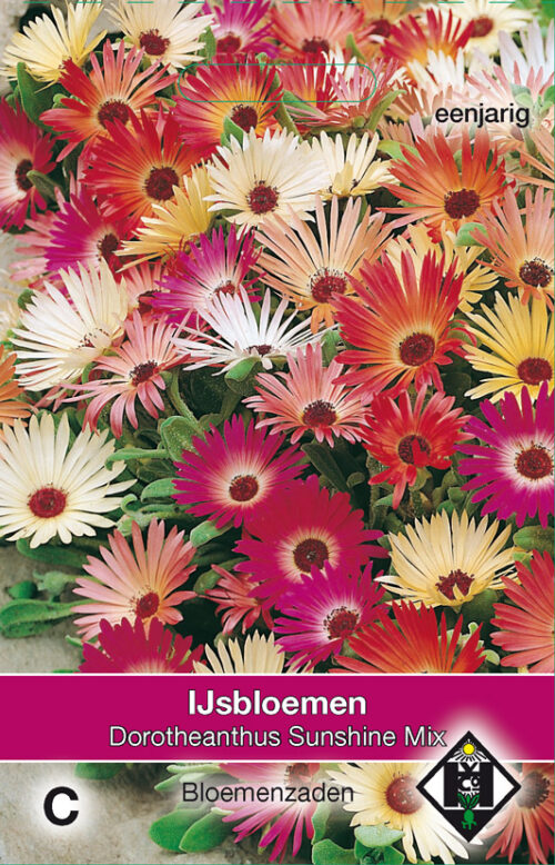 Ijsbloemen dorotheanthus b. Sunshine mix zaaizaad