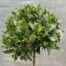 Half portvat 55 liter beplant met Laurus nobilis