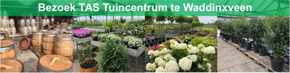 Bezoek Tas Tuincentrum te Waddinxveen