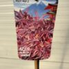Acer pal. 'Shaina' stamhoogte 90 cm (Japanse Esdoorn)