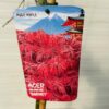 Acer pal. 'Garnet' stamhoogte 90 cm (Japanse Esdoorn)