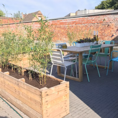 Niet woekerende bamboe