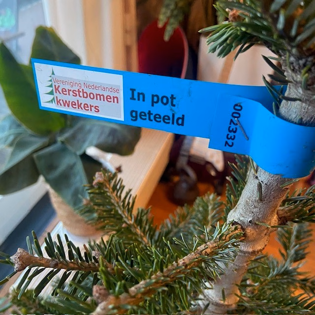 Kerstbomen van de Vereniging van Nederlandse kerstboom kwekers