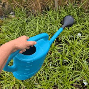 Gieter met broes van kunststof, kleur blauw