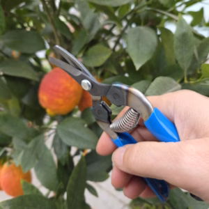 Fruitschaar ARS 310B 16 cm, gebogen, blauw