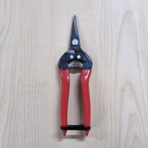 Fruitschaar ARS 300SSR 17 cm, recht, rood