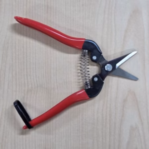 Fruitschaar ARS 300SSR 17 cm, recht, rood
