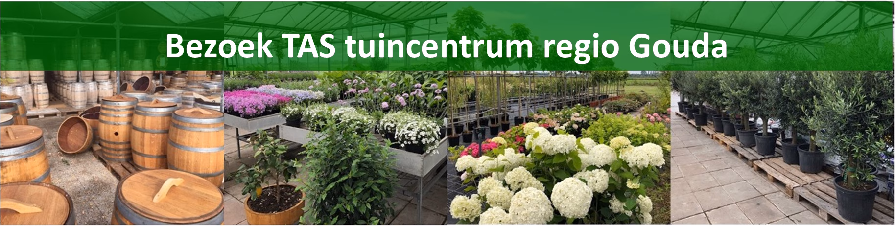 TAS tuincentrum regio Gouda TAS tuincentrum regio Gouda